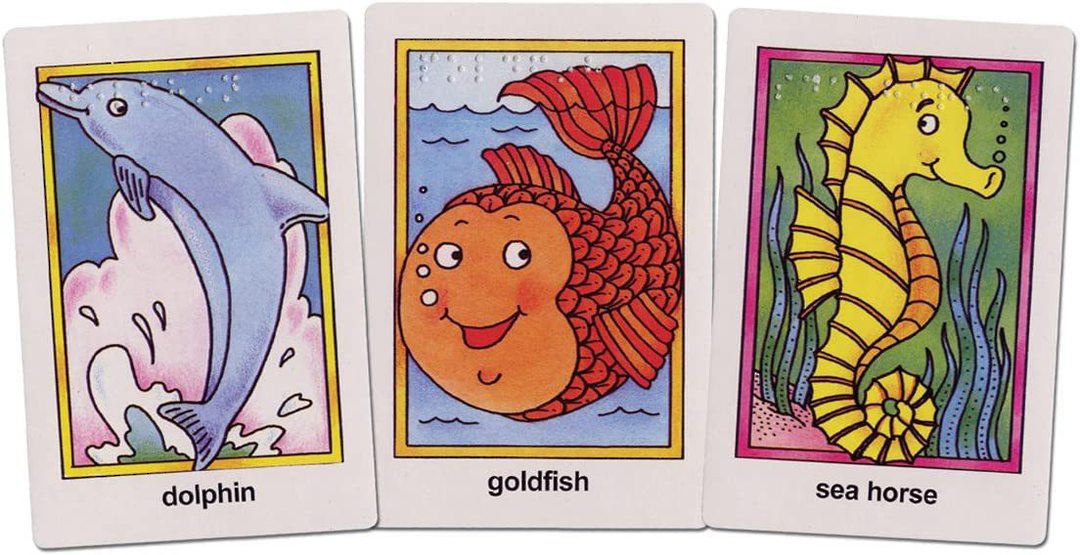 Go Fish Card Game Braille image 0